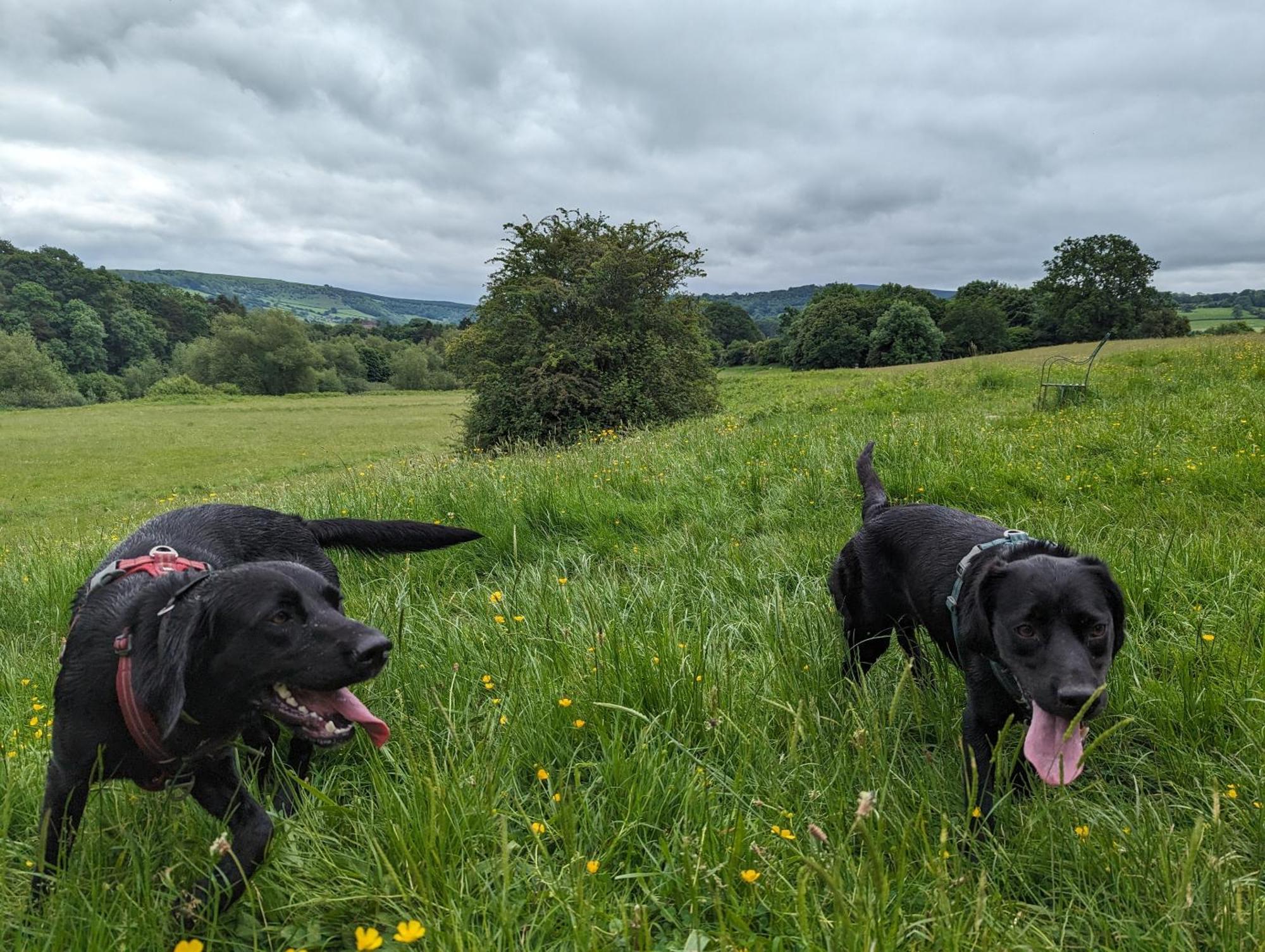 Whitney-on-Wye The Agents House, Bed & Breakfast מראה חיצוני תמונה